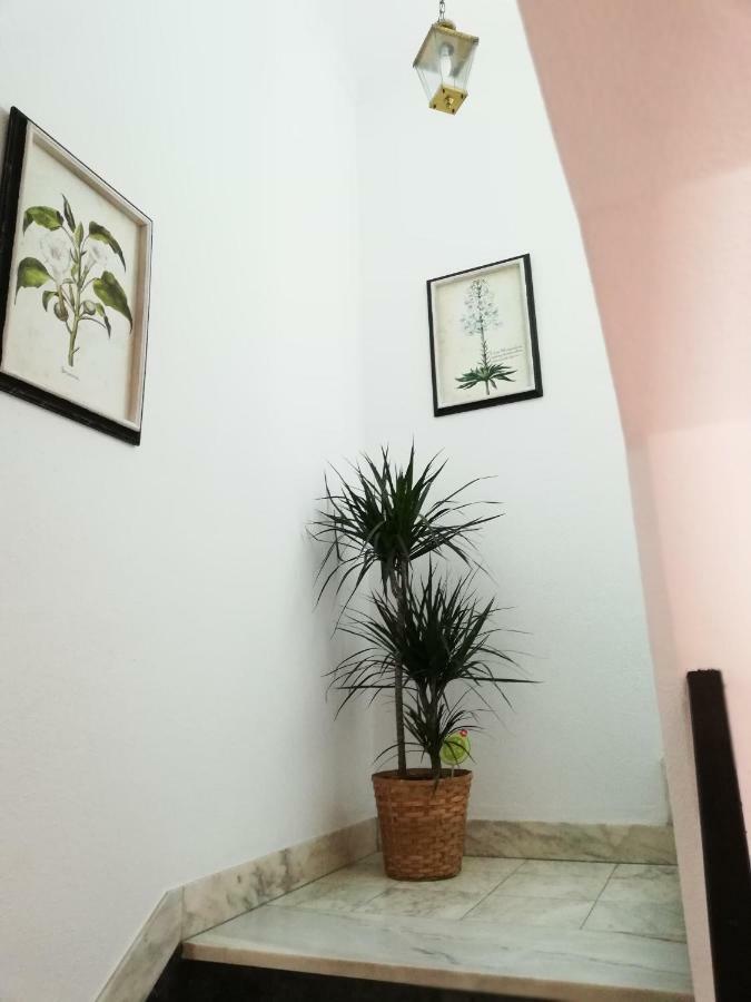 Arronches Villa Εξωτερικό φωτογραφία
